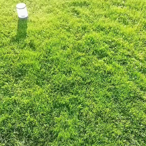 Cадовая мебель DETSKIYE PLOSHCHADKI – детские игровые комплексы.
Домики беседки. Садовые качели. Кушетка для отдыха. Огромный выбор тканей и цвета дерева. Диваны, кресла и другая садовая мебель под заказ. Большой выбор тканей и материалов. Детские игровые площадки под заказ. Садовые диванчики. Детские лазалки кубы под заказ. Детские лазалки кубы под заказ. Летние кухни под заказ. Стойка для гамака. Производство шезлонгов с выдвижным столиком и подголовником. Детские игровые спортивные комплексы. Детские домики кровати. Беседки барбекю в стиле лофт. Гарантия качества. Доставка по всей Беларуси.

@detskiye.ploshchadki