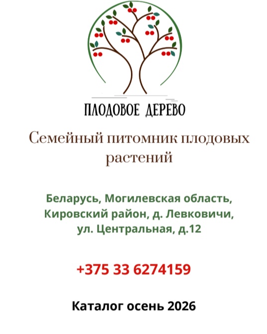 Новый каталог саженцев плодовых и декоративных деревьев, кустарников питомника "ПЛОДОВОЕ ДЕРЕВО" ОСЕНЬ 2026!
Питомник ПЛОДОВОЕ ДЕРЕВО — семейный питомник плодовых и ягодных растений.
Отправка БЕЛПОЧТА. Подробный каталог здесь: @pitomnik_plodovoe_derevo