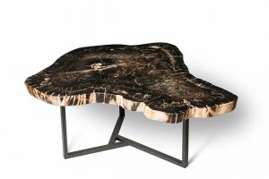 Элитная мебель из окаменелого дерева