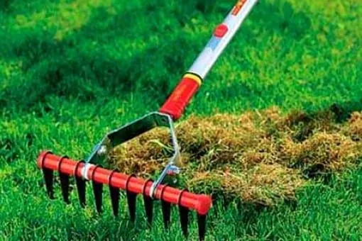 Газон весной