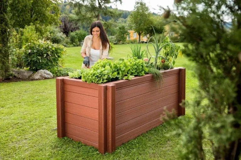 сад и огород