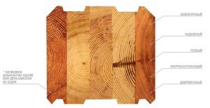 Выбор дерева для строительства дома 