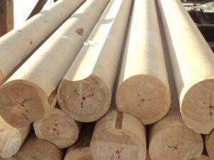 Выбор дерева для строительства дома 