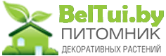 Питомник BELTUI