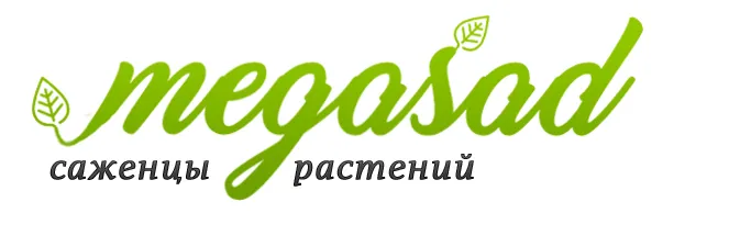 Питомник МEGASAD