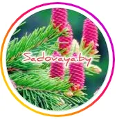 Интернет - магазин SADOVAYA_BY