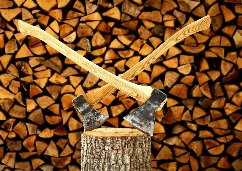 Каркасные структуры CAPRICORN.BEETLE