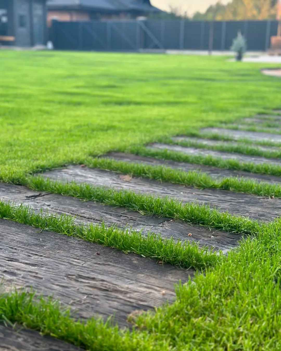 ландшафтный дизайн