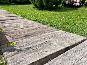 Доска Болотная