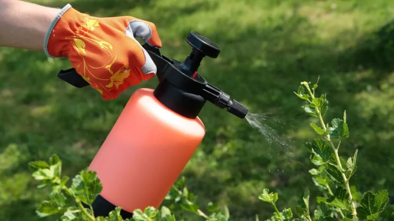 Средства зашиты растений