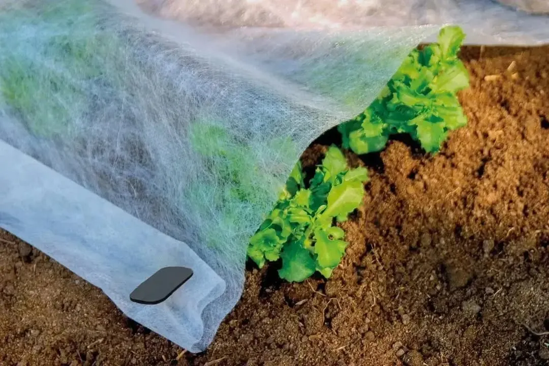 теплицы и парники